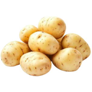 Potato